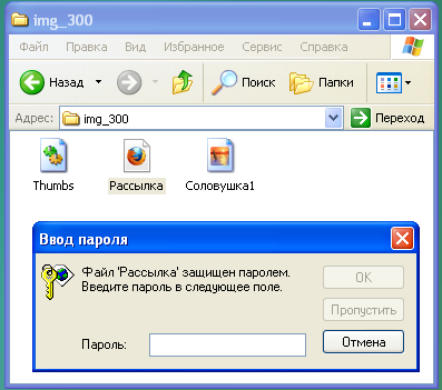 О том, как запаролить файл, поставить пароль на папку.