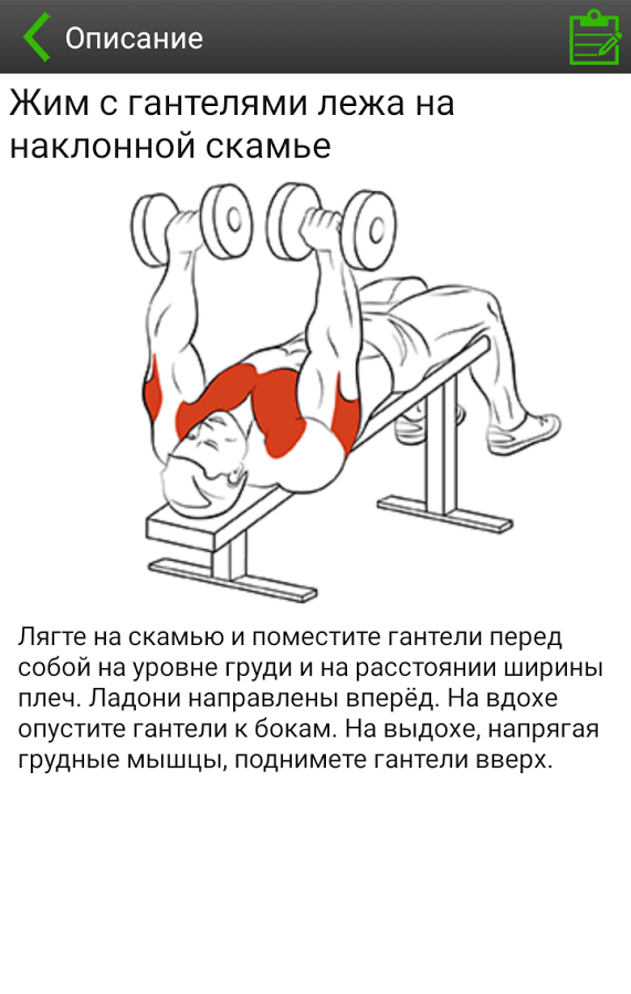 Приложения - Лучшие приложения для Андроид - фитнес и тренировки Лучшие приложения для Андроид - фитнес и тренировки